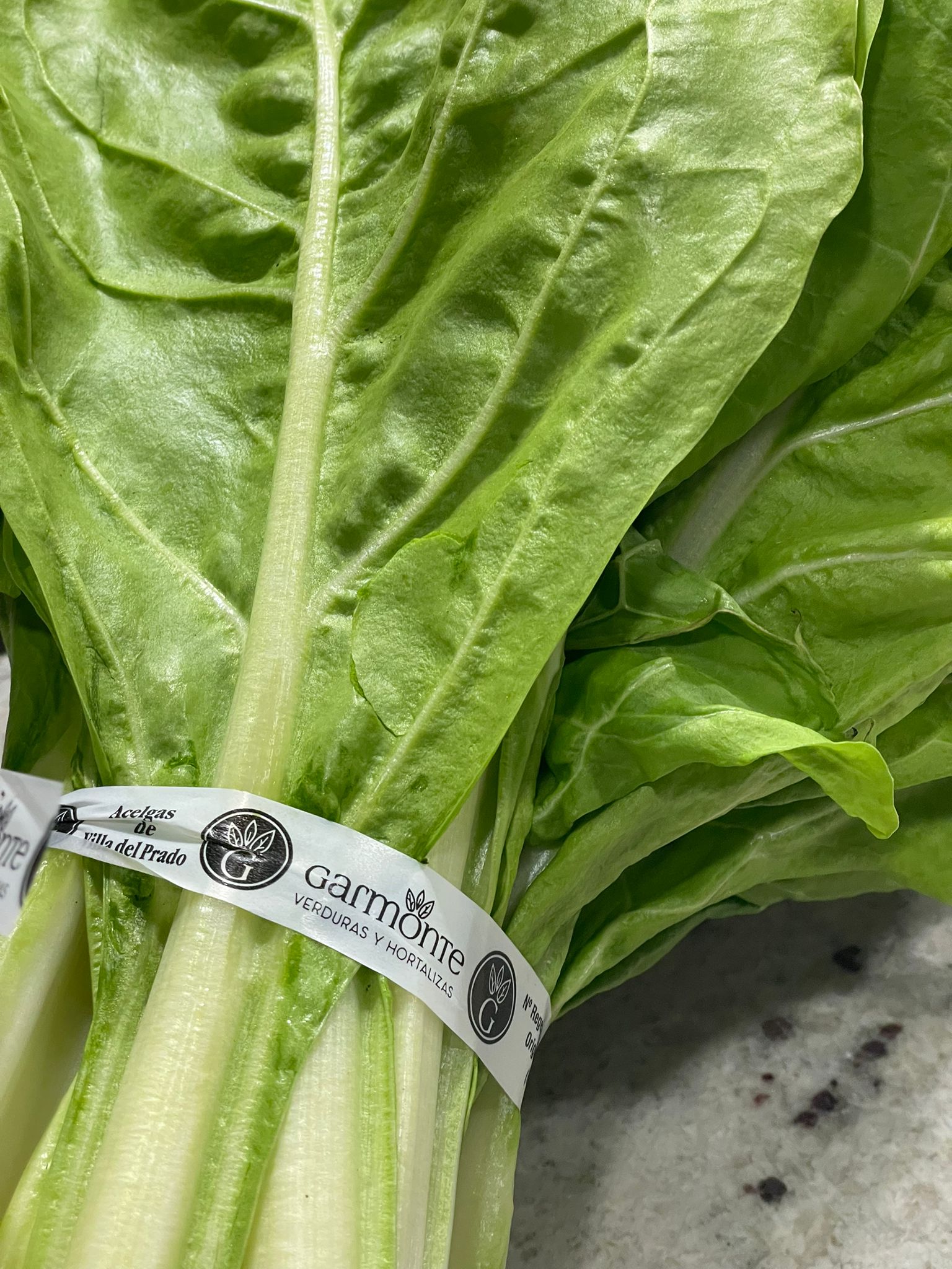 Acelga Garmonte